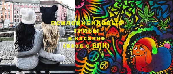 ПСИЛОЦИБИНОВЫЕ ГРИБЫ Алексеевка